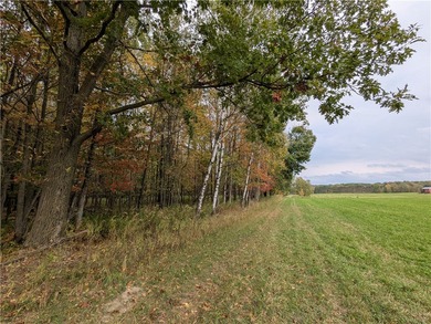 Lake Acreage For Sale in Stanley, Wisconsin