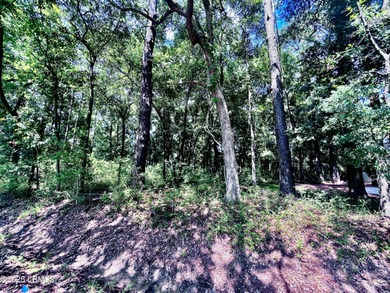 Come and get it....40 of an acre across the street from marsh - photo 3