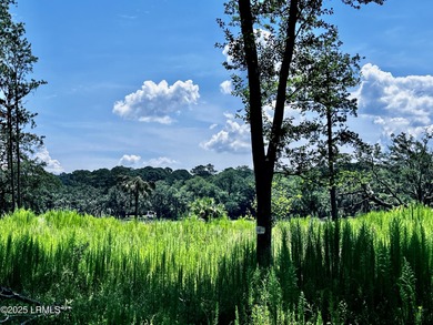 Come and get it....40 of an acre across the street from marsh - photo 4