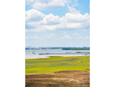 Penthouse living at Tides IV with stunning top-floor views of - photo 14