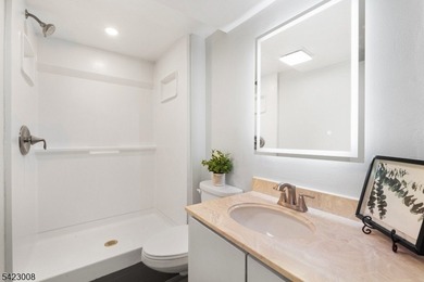 Welcome to this newly renovated bilevel, positioned perfectly on - photo 24