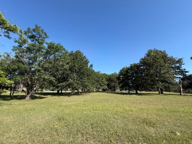 Corner Lot, 500 Road Frontage at RC Lake! - photo 10