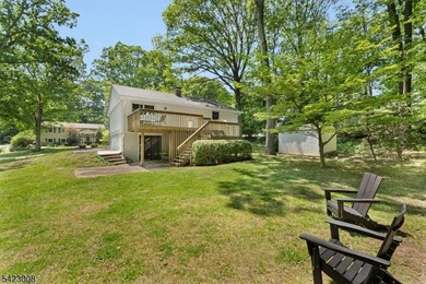 Welcome to this newly renovated bilevel, positioned perfectly on - photo 31