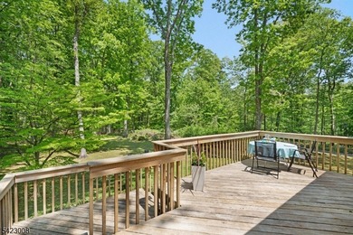 Welcome to this newly renovated bilevel, positioned perfectly on - photo 32
