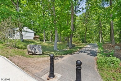 Welcome to this newly renovated bilevel, positioned perfectly on - photo 37