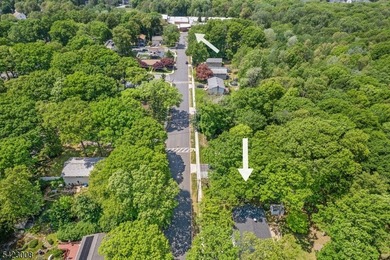 Welcome to this newly renovated bilevel, positioned perfectly on - photo 39
