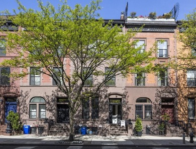 391 Manhattan Avenue A masterfully renovated South Harlem - photo 1