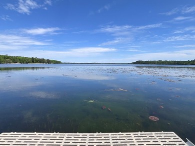 Endless Potential on Garfield Lake! Discover an exceptional - photo 2