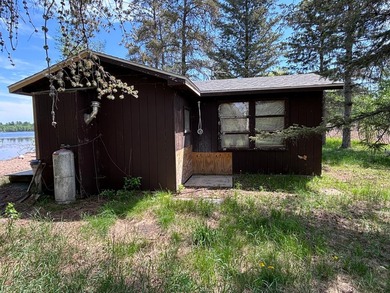 Endless Potential on Garfield Lake! Discover an exceptional - photo 4