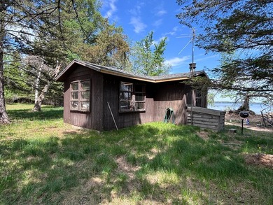 Endless Potential on Garfield Lake! Discover an exceptional - photo 5