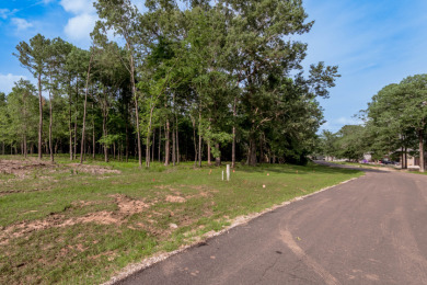 Lake Lot For Sale in Huntsville, Texas