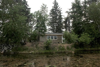 Endless Potential on Garfield Lake! Discover an exceptional - photo 10