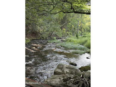Fabulous Property with ponds, rushing streams, huge acreage & a - photo 42