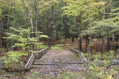 Fabulous Property with ponds, rushing streams, huge acreage & a - photo 44