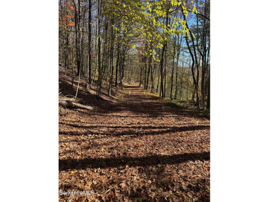 Fabulous Property with ponds, rushing streams, huge acreage & a - photo 45