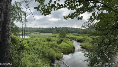 Fabulous Property with ponds, rushing streams, huge acreage & a - photo 47