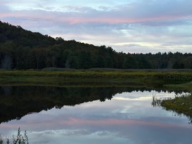 Fabulous Property with ponds, rushing streams, huge acreage & a - photo 48