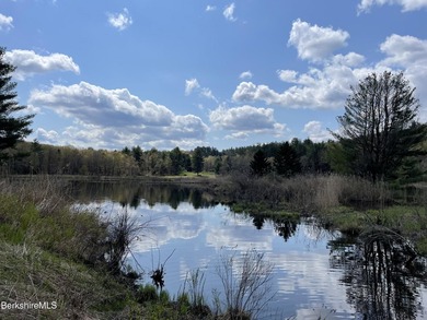 Fabulous Property with ponds, rushing streams, huge acreage & a - photo 49
