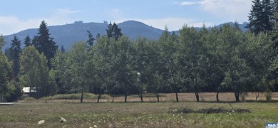 Charming 5-Acre South-Facing Country Retreat in Sequim. Welcome - photo 7