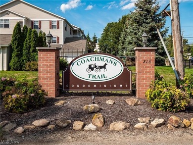 Lake Erie - Lorain County Condo For Sale in Avon Lake Ohio