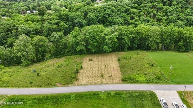 Build Your Dream Home Near Norris Lake -- Peace, Possibility - photo 2