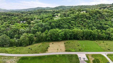 Build Your Dream Home Near Norris Lake -- Peace, Possibility - photo 3