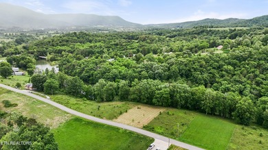 Build Your Dream Home Near Norris Lake -- Peace, Possibility - photo 4