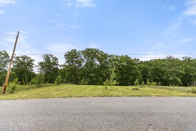 Build Your Dream Home Near Norris Lake -- Peace, Possibility - photo 9