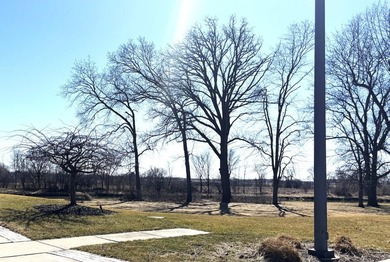 Lake Lot For Sale in Sycamore, Illinois