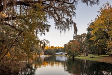 Rainey Lake Acreage For Sale in Tallahassee Florida