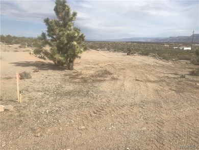 Lake Mead Lot For Sale in Meadview Arizona
