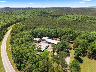 MOTIVATED SELLER! PRICE REDUCED!! PEACEFUL LAKE OUACHITA - photo 27