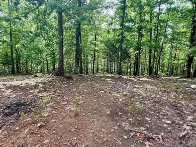 MOTIVATED SELLER! PRICE REDUCED!! PEACEFUL LAKE OUACHITA - photo 29