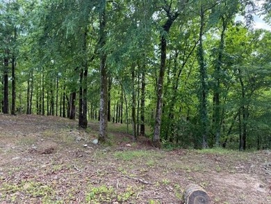 MOTIVATED SELLER! PRICE REDUCED!! PEACEFUL LAKE OUACHITA - photo 30