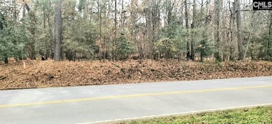 Lake Murray Lot For Sale in Chapin South Carolina