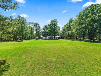MOTIVATED SELLER! PRICE REDUCED!! PEACEFUL LAKE OUACHITA - photo 46