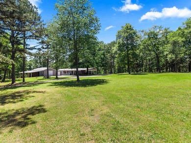 MOTIVATED SELLER! PRICE REDUCED!! PEACEFUL LAKE OUACHITA - photo 47