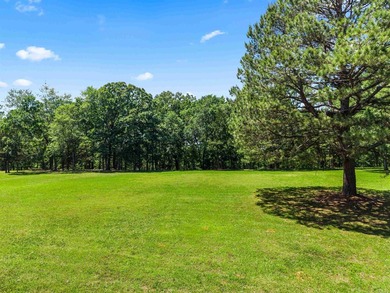 MOTIVATED SELLER! PRICE REDUCED!! PEACEFUL LAKE OUACHITA - photo 48