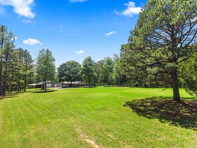MOTIVATED SELLER! PRICE REDUCED!! PEACEFUL LAKE OUACHITA - photo 49