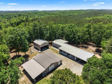 MOTIVATED SELLER! PRICE REDUCED!! PEACEFUL LAKE OUACHITA - photo 50
