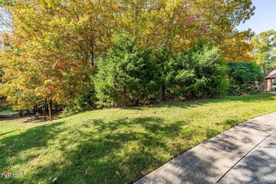 Boone Lake Lot For Sale in Blountville Tennessee