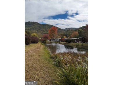 (private lake, pond, creek) Lot For Sale in Dillard Georgia