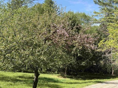 HUGE PRICE ADJUSTMENT!!! Looking for a home close to town and - photo 44