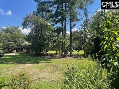 Lake Acreage For Sale in Blythewood, South Carolina