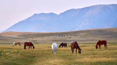 (private lake, pond, creek) Acreage For Sale in Laramie Wyoming