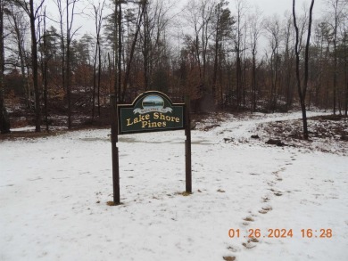 Lake Acreage For Sale in Winchester, New Hampshire