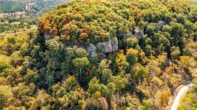 Attention Investors and Developers: Round Mountain Estates is - photo 11