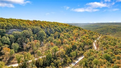 Attention Investors and Developers: Round Mountain Estates is - photo 14