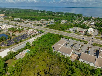 Fantastic vacant commercial parcel located in South Walton - photo 14