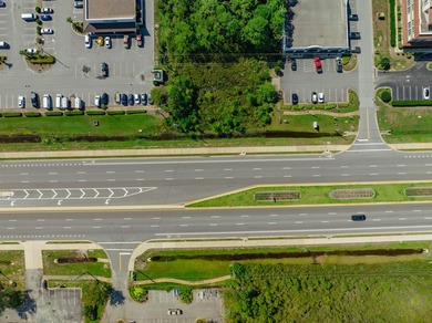 Fantastic vacant commercial parcel located in South Walton - photo 16